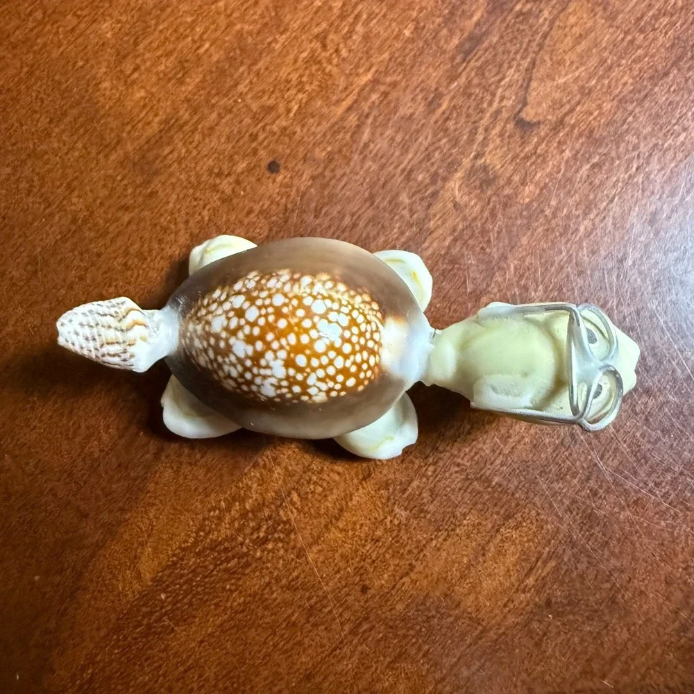 Seashell Turtle Miniature Wearing Glasses‎ Figurine Real Shell